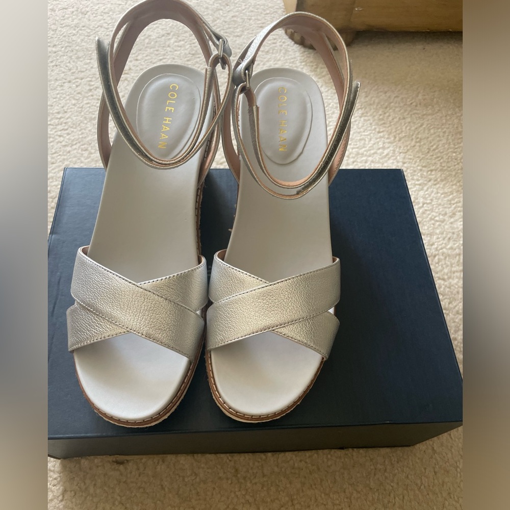 New! Cole Haan Silver Espadrille Wedge Sandals 10